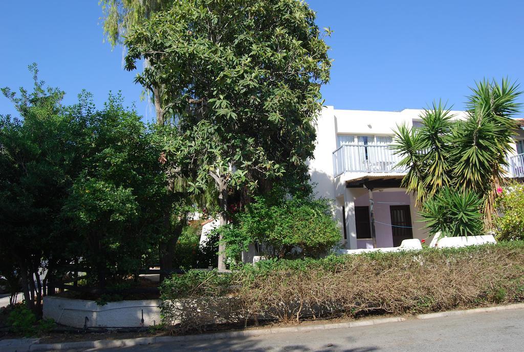 Margarita 110 - Newly Renovated Paphos Quarto foto